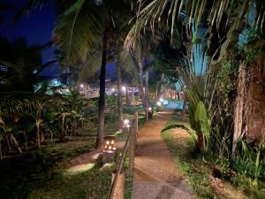 a walkway with lights on it at night at WegoKite Stars in Taíba