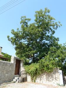 ein Baum an der Seite einer Steinmauer in der Unterkunft Farm House in Kyrenia
