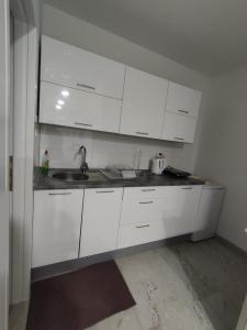 Kuchyň nebo kuchyňský kout v ubytování Apartman Markešić 3