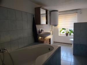 Kúpeľňa v ubytovaní Apartman BALA