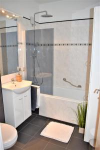 a bathroom with a shower and a toilet and a sink at Apartment d ´Freizeit in Bad Goisern