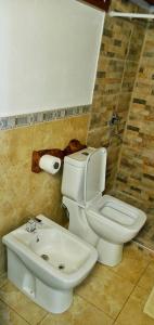 a bathroom with a white toilet and a sink at El Piul in Valle Hermoso