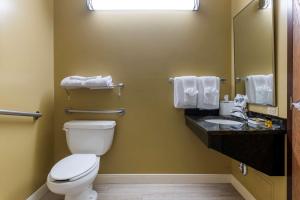 Koupelna v ubytování Best Western Plus Grand-Sault Hotel & Suites