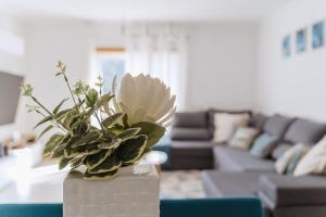 a vase with a plant in a living room at Farol Beach Place in Nazaré