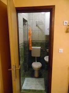 een badkamer met een toilet en een wastafel bij Holiday Home Ana in Tounj