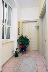 Apartments with WiFi Split - 4856 في سبليت: ممر به نباتات الفخار وباب أبيض