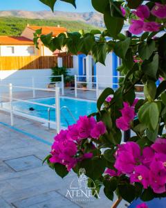 una planta con flores rosas junto a una piscina en Apartamentos Atenea Jerte, en Jerte
