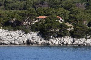 Fotografie z fotogalerie ubytování Apartments by the sea Cove Saplunara, Mljet - 4925 v destinaci Saplunara