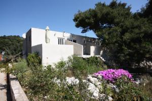 Fotografie z fotogalerie ubytování Apartments by the sea Cove Saplunara, Mljet - 4914 v destinaci Saplunara