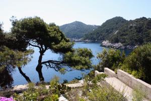 Fotografie z fotogalerie ubytování Apartments by the sea Cove Saplunara, Mljet - 4914 v destinaci Saplunara
