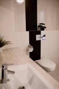 a bathroom with a white toilet and a sink at Bon Repos Apartmán in Donovaly