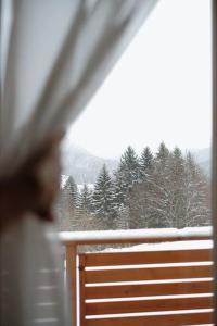 a person looking out a window at a snow covered forest at Bon Repos Apartmán in Donovaly