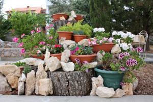 Ein Garten an der Unterkunft Apartments with parking spaces Barbat, Rab - 4962