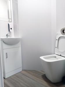 La salle de bains blanche est pourvue de toilettes et d'un lavabo. dans l'établissement The Oak Studio -Self contained one bed studio flat, à Oxford