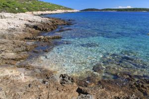 Fotografie z fotogalerie ubytování Apartments by the sea Brgujac, Vis - 8899 v destinaci Vis
