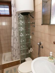 a bathroom with a toilet and a sink and a shower at Apartments and rooms by the sea Komiza, Vis - 8841 in Komiža