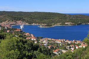 einen Blick auf eine Stadt und einen Wasserkörper in der Unterkunft Apartments by the sea Vis - 8906 in Vis