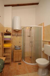 a bathroom with a shower and a toilet at Apartments with a parking space Rukavac, Vis - 8859 in Vis