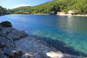Fotografie z fotogalerie ubytování Apartments by the sea Cove Stoncica, Vis - 8941 v destinaci Vis