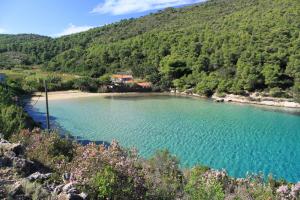 Fotografie z fotogalerie ubytování Apartments by the sea Cove Stoncica, Vis - 8941 v destinaci Vis