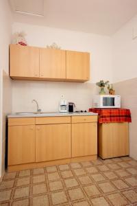kuchnia ze zlewem i kuchenką mikrofalową w obiekcie Apartments with WiFi Trsteno, Dubrovnik - 8738 w mieście Trsteno
