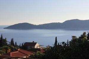 Fotografie z fotogalerie ubytování Apartments with WiFi Trsteno, Dubrovnik - 8738 v destinaci Trsteno