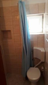 a bathroom with a toilet and a blue shower curtain at Apartments by the sea Necujam, Solta - 8691 in Nečujam