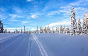 Sjusjøen Fjellstue Leil Nr 201 v zimě