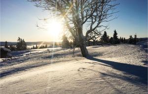 Sjusjøen Fjellstue Leil Nr 201 v zimě + 4 fotografie