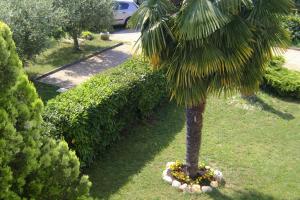 Fotografie z fotogalerie ubytování Family friendly apartments with a swimming pool Babici, Umag - 2531 v destinaci Umag