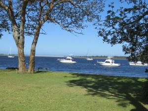 a group of boats in the water with a tree at Lorsens on the River - Shoalhaven Heads in Shoalhaven Heads