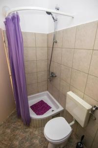 a bathroom with a toilet and a shower with a purple shower curtain at Apartments by the sea Necujam, Solta - 11090 in Grohote
