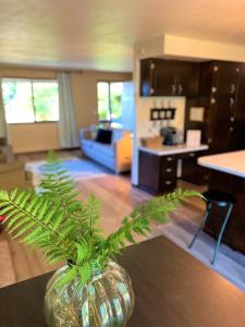 a vase sitting on a table with a plant in it at Fern Hill Retreat in Chehalis