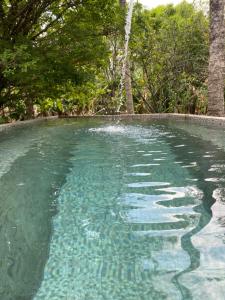 a pool of water with trees in the background at Nanda Parbat Hostal in San Rafael Cedros