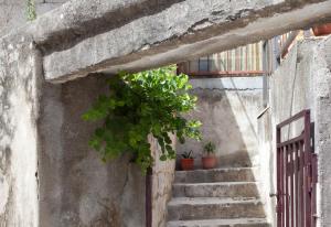 Fotografie z fotogalerie ubytování Apartments by the sea Split - 11161 ve Splitu