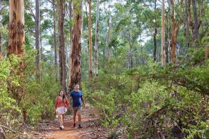 Hosté ubytování RAC Margaret River Nature Park