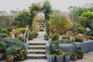 a garden with a bunch of potted plants and stairs at Strand House in Portstewart