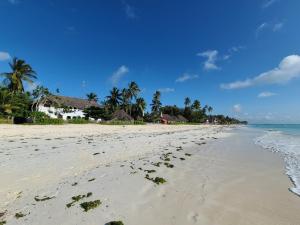 江比阿尼的住宿－Jambiani Guest Lodge UNGUJA，棕榈树和海洋的沙滩