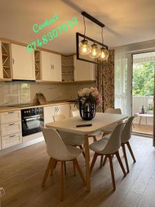 a kitchen with a table with chairs and a vase of flowers at Chic Studio Maramures in Vişeu de Sus