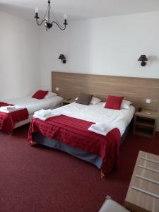 a bedroom with two beds with red pillows at HOTEL DES VOYAGEURS in Pont-de-Roide