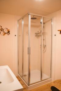 una ducha con una puerta de cristal junto a un lavabo en Apartment Hainfeld, en Hainfeld