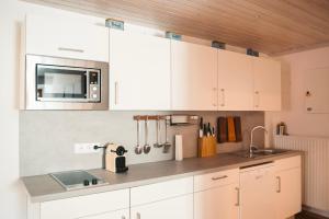 Kuchyň nebo kuchyňský kout v ubytování Apartment Hainfeld