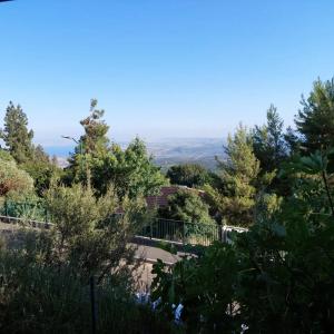 山林小屋周边自然景观