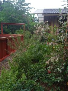 a garden with lots of plants on a fence at At Home annex in Puerto Princesa City