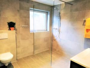 een badkamer met een toilet en een glazen douche bij Kaiser Suite, Apartments Scheffau in Scheffau am Wilden Kaiser