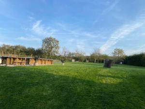 a green field with a building in the distance at Les volets bleus 