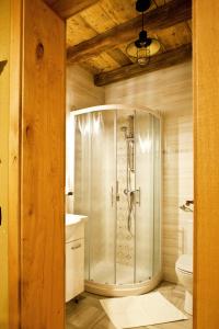 y baño con ducha y aseo. en Lavender Hill, Eko Resort & Wellness, en Polzela