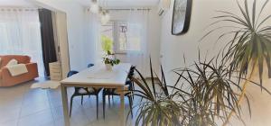 Fotografie z fotogalerie ubytování Apartments Cvek 2 v Rovinji