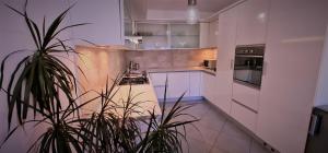 Fotografie z fotogalerie ubytování Apartments Cvek 2 v Rovinji