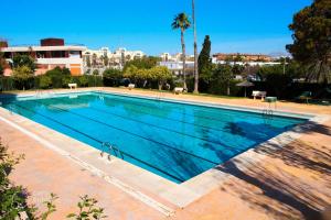 a large swimming pool with blue water at San Juan Live in Alicante